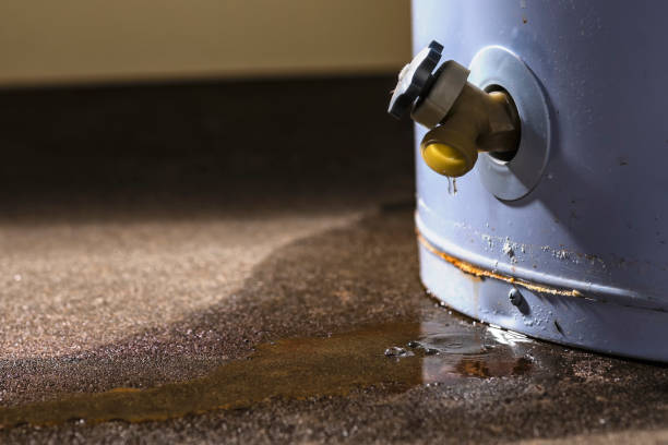Best Carpet water damage restoration  in Brocton, NY