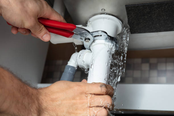 Best Local water damage restoration  in Brocton, NY