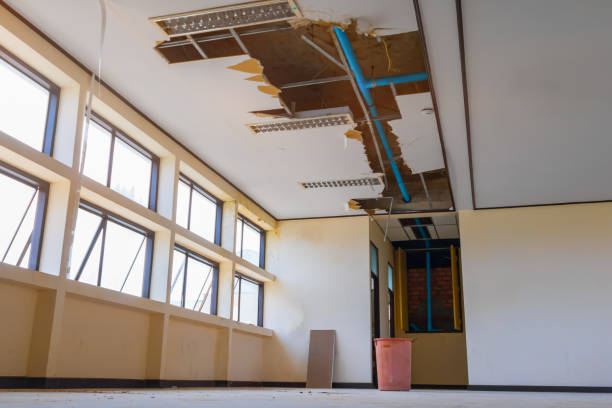  Brocton, NY Water damage restoration Pros