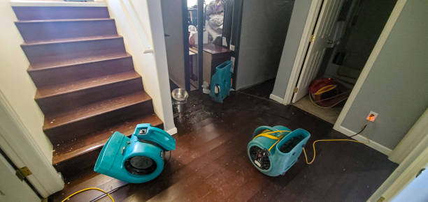 Best Water damage restoration near me  in Brocton, NY
