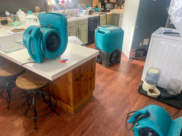Best Water damage cleanup near me  in Brocton, NY