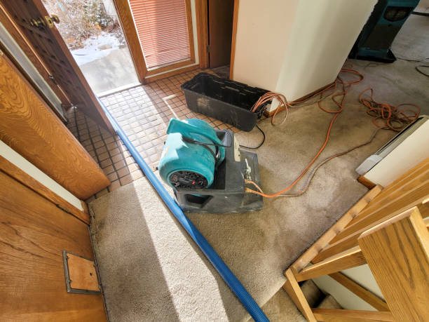 Best Local water damage restoration  in Brocton, NY