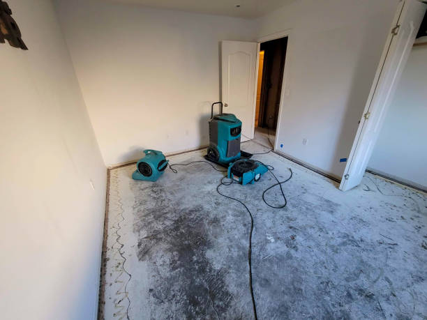 Best Flood damage cleanup  in Brocton, NY