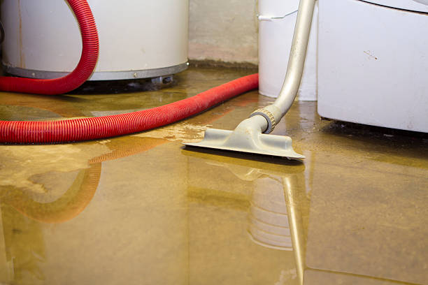Best Water damage restoration mold remediation  in Brocton, NY