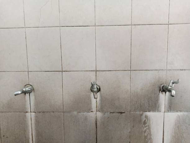 Best Sewage cleanup and water damage restoration  in Brocton, NY